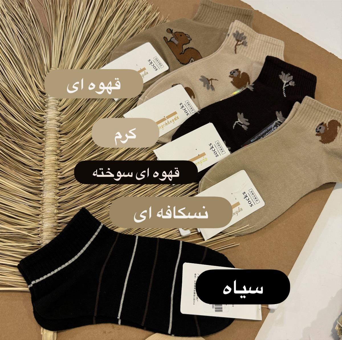 جوراب مچی زنانه 4 1c1683e4-fa64-4cbf-b8ca-bc99ec08a466.jpeg